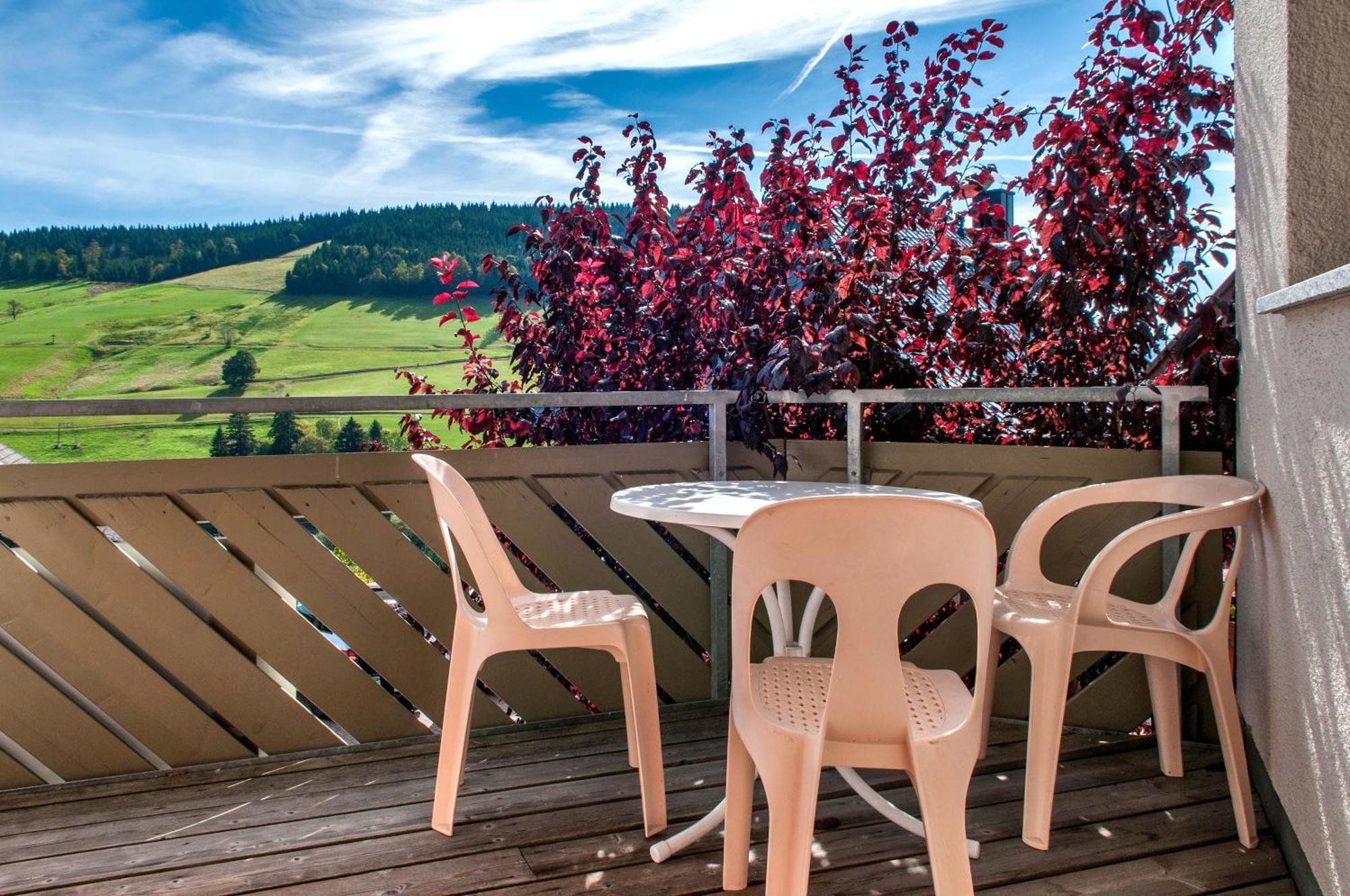 Apartment 03 - Ferienresidenz Roseneck, Mit Schwimmbad In Todtnauberg Bei Feldberg Экстерьер фото